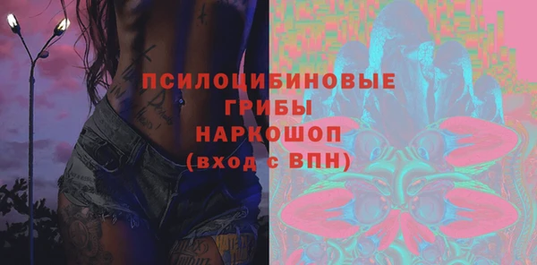 гидра Горнозаводск