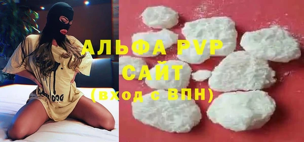 гидра Горнозаводск