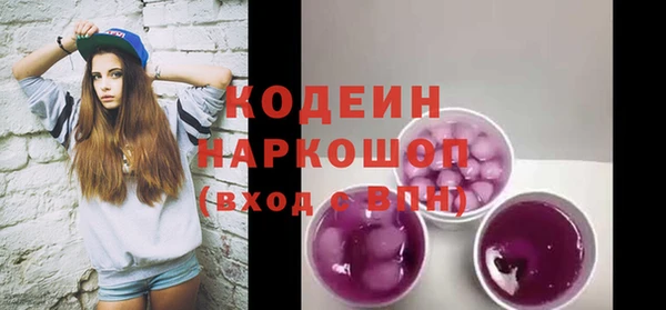 гидра Горнозаводск