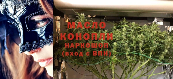 гидра Горнозаводск