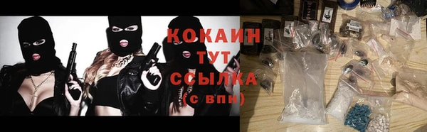 гидра Горнозаводск