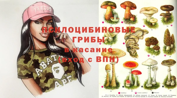 твердый Горно-Алтайск
