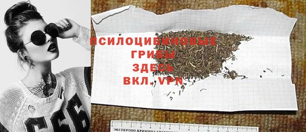 твердый Горно-Алтайск