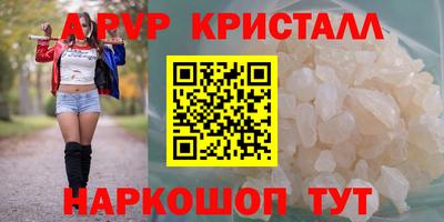 СК Новокубанск