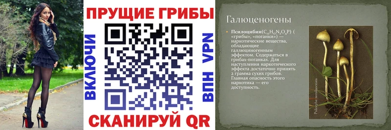 Псилоцибиновые грибы мухоморы  Заволжье 