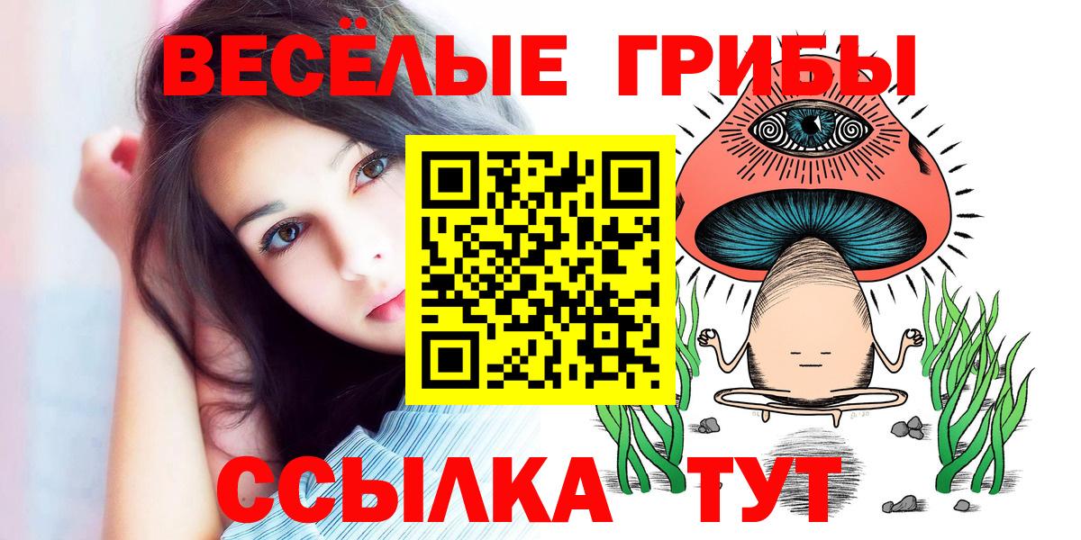 Заволжье  наркотики  Вход с VPN  Псилоцибиновые грибы прущие грибы  Псилоцибиновые грибы GOLDEN TEACHER 