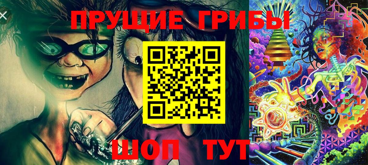 Псилоцибиновые грибы Psilocybine cubensis Заволжье